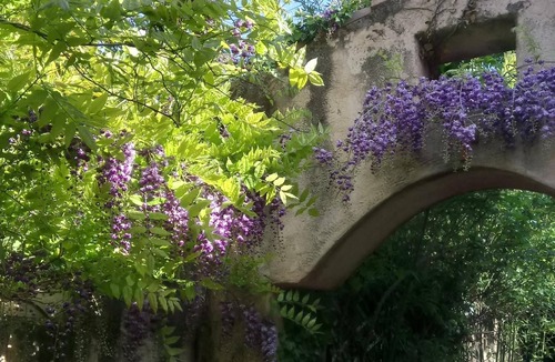 Saint-Maximin-la-Sainte-Baume Cottage | The House Pitchounette 4/6 pers3 *. closed 7000M2 ideal Swimming Pool Park
