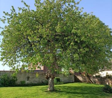 Saint-Quentin-Lamotte-Croix-au-Bailly Bed & Breakfast | Chez Lullu