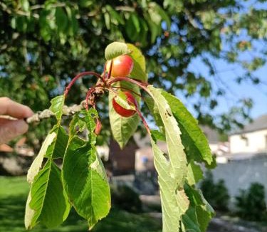 Saint-Quentin-Lamotte-Croix-au-Bailly Bed & Breakfast | Chez Lullu