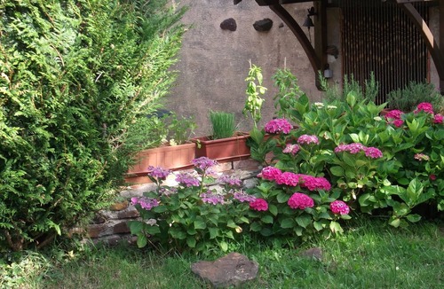 Treigny House | Chez Sidonie, in the land of Colette.