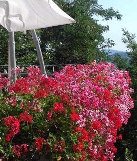 Montepetra Apartment | Fra Bosco e Cielo B&B