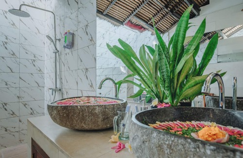 Lovina Hotel | Frangipani Beach Hotel
