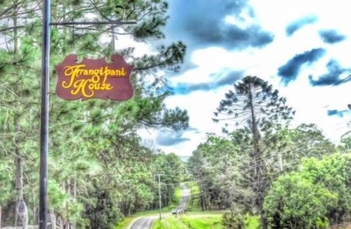 Mooloolah Valley House | Frangipani House ... special birthdays, family fun, bush retreats, celebrations