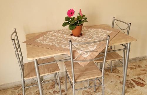 Palmi House | FREE HOUSE