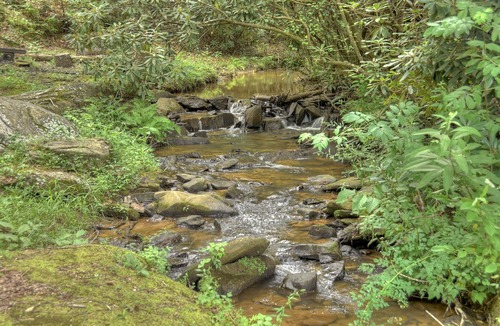 Copperhill Cabin | *Free Whitewater Rafting & Ziplining* Enjoy the relaxing sunshine and lush vegetation near the large boulders along the creek.