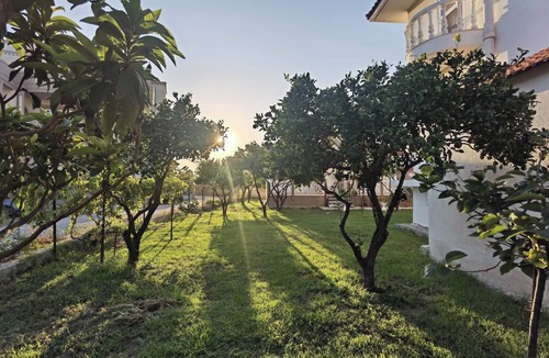 Kremasti House | Freeman Greenlees Hellenic Garden House