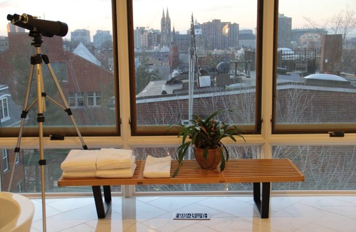 Highland Park Apartment | *Fresh* Modern Triplex in a Classic Boston Row House, Amazing City Views!