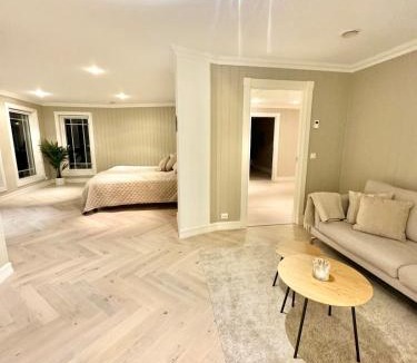Reinsvik Apartment | Freya Studio with jacuzzi access and free parking