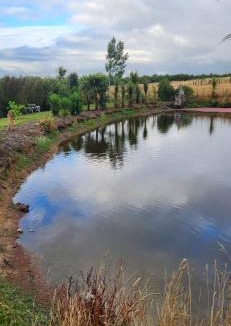Martinborough House | Frogs Hollow