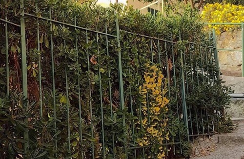 Bogliasco Apartment | Front Sea Charming House. Private Garden and BBQ