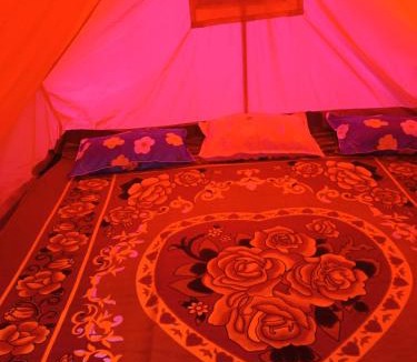Laitmawsiang Other | Front view campsite