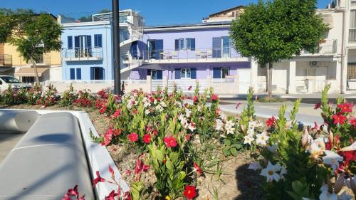 Marina Apartment | Fronte mare Levante - Apulia Houses & Flats - Ecosostenibile !