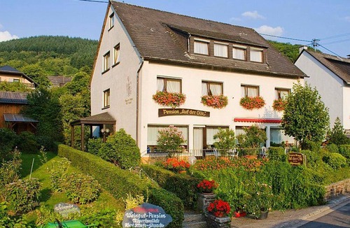 Veldenz Apartment | Fuchsappartement - Pension "Auf der Olk" with "Röpertsmühle"