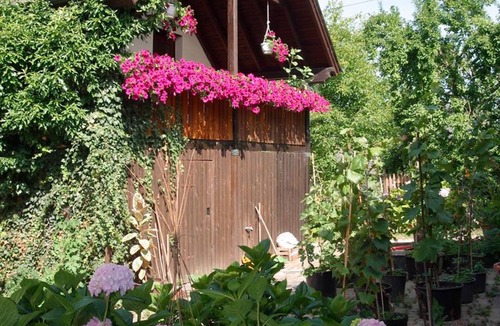Veldenz Apartment | Fuchsappartement - Pension "Auf der Olk" with "Röpertsmühle"