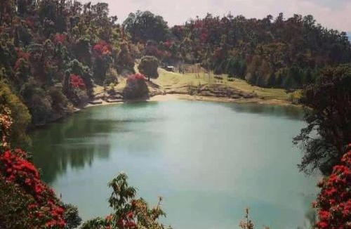 Dugalbitta House | fulari home stay