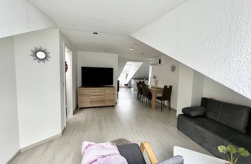 Rastatt Apartment | Full confort apartment air conditioning Bicycles free