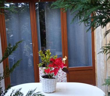 Chatillon-en-Michaille Apartment | Fully equipped studio