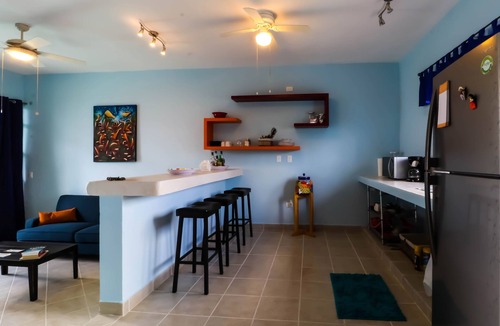 Colonos Cuzamil Apartment | Fully Equipped Art Space - Bicycles/Snorkel Gear - Corpus Christi -Extras