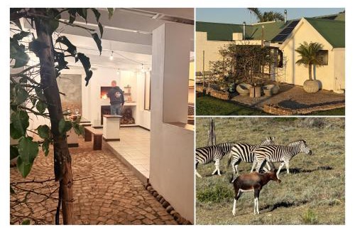 Brandwag Apartment | Fungamukaba Sanctuary