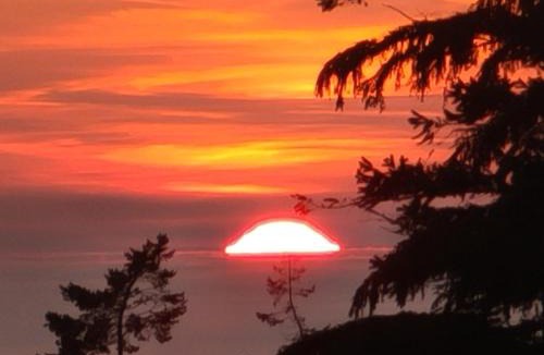 Juan de Fuca Electoral Area Bed & Breakfast | Funky Forest Bnb