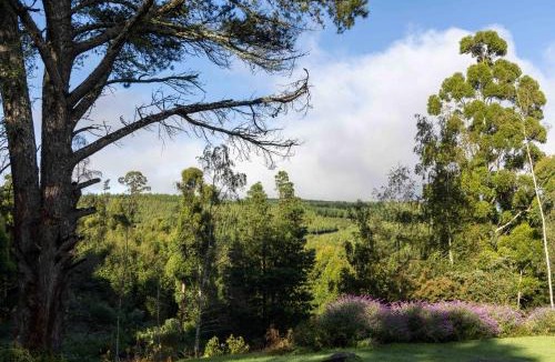 Hogsback Apartment | Further Beyond