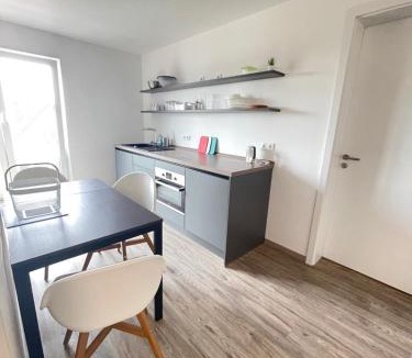 Schwann Apartment | Gästehaus Hirsch 93