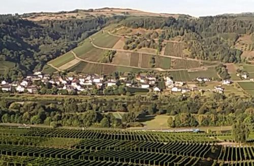 Schleich House | Gästehaus-Weingut Michael Scholer