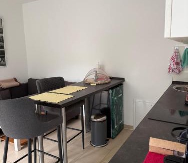 Wilhelmstadt Apartment | Gästewohnung Scharfe Lanke