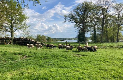 Saint-Quentin-sur-Charente House | Gîte à la campagne au bord d'un Lac 8 personnes