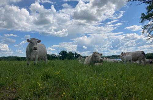 Saint-Quentin-sur-Charente House | Gîte à la campagne au bord d'un Lac 8 personnes