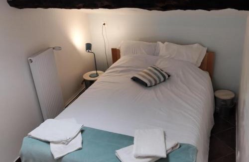 Cellieu House | Gîte 3 chambres avec hammam, sauna et jacuzzi à Cellieu - FR-1-496-8