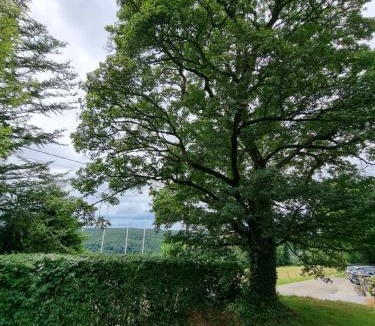 Blaimont House | Gîte 7ici