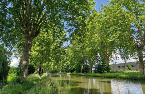 Illkirch-Graffenstaden Apartment | Gîte-appart com' "des cîmes et jardin"
