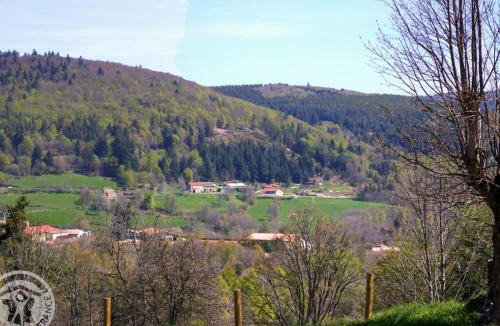 La Versanne House | Gîte authentique avec cheminée, animaux admis et WiFi en bordure de forêt - FR-1-496-127
