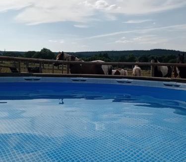Le Bouillon House | Gîte avec jacuzzi privatif et piscine privative - Haras Le Val Du Conte