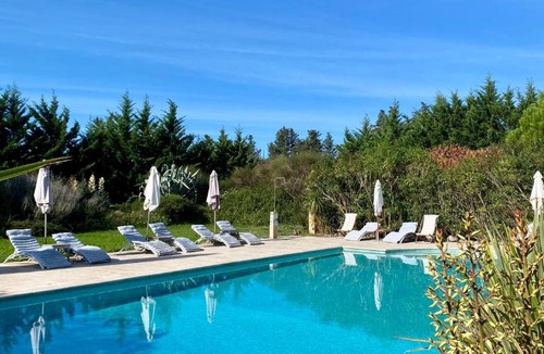 Monteux Apartment | Gîte Crillon - Mas Les Fleurs d'Hilaire