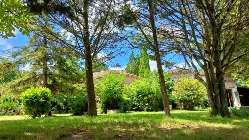 La Romieu Hostel | Gîte de La Planette