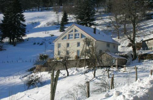 Travexin Apartment | Gîte familial à Cornimont avec Wifi et parking - FR-1-589-84