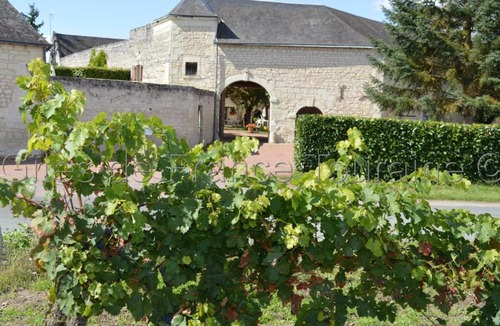 Ligre House | Gîte Ligré, 8 pièces, 15 personnes - FR-1-381-129
