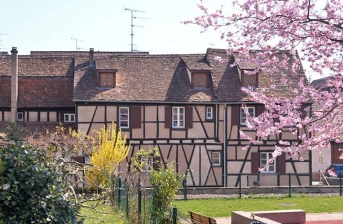 Riquewihr Apartment | Gîte Luxe-Bacchus 4*- 6 pers-Suitable for families Pets welcome