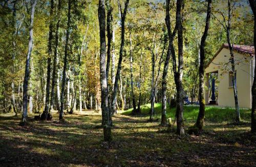 Saint-Chamassy House | Gîte Spa & Nature