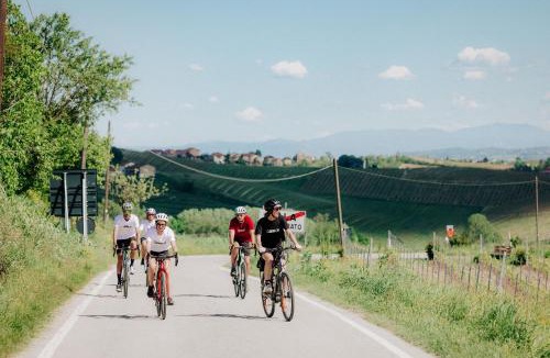 Casale Monferrato Hostel | Gabanon