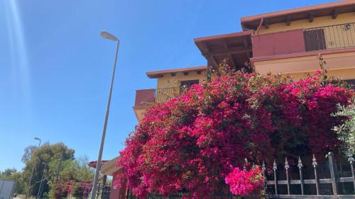 Ciro Marina Apartment | Gabbiano Jonathan