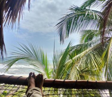 Guachaca Hotel | Gaelia