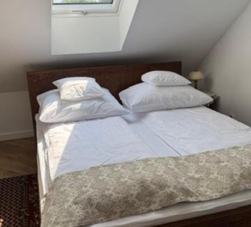 Brok Apartment | Galeria trunków regionalnych Michał Olszewski i Apartamenty