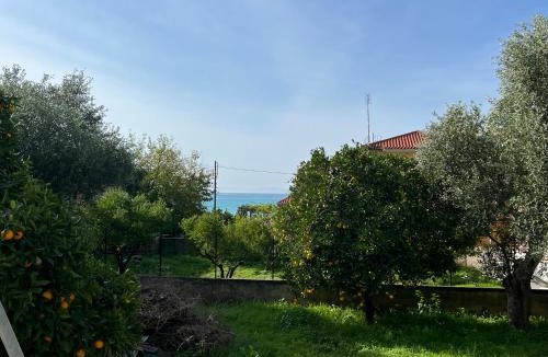 Akrogialion Apartment | Galini 1