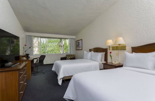 Pachuca Hotel | Gamma Pachuca