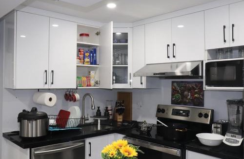 Mount Pleasant Apartment | Garden 2 BR Apt - Free Parking Wifi Laundry Workstation