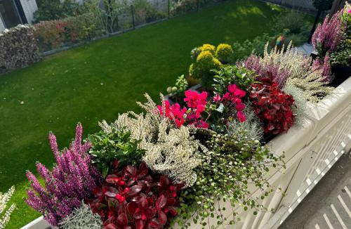 Westend Bed & Breakfast | Garden Apartments