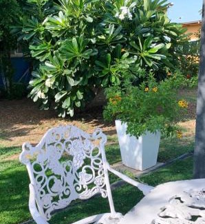 Phetchabun Hotel | Garden Place